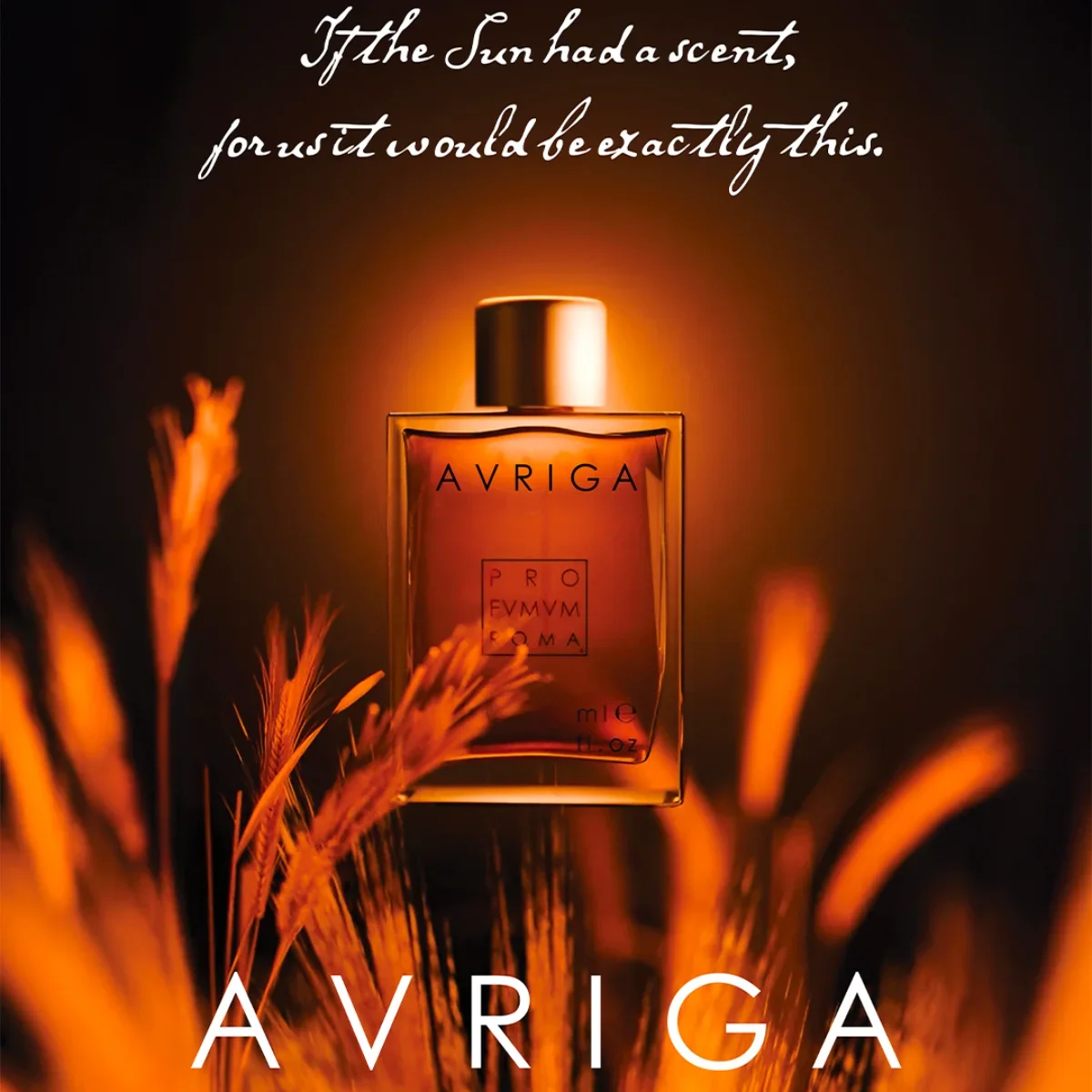 Profumum Roma - Auriga – Bild 3