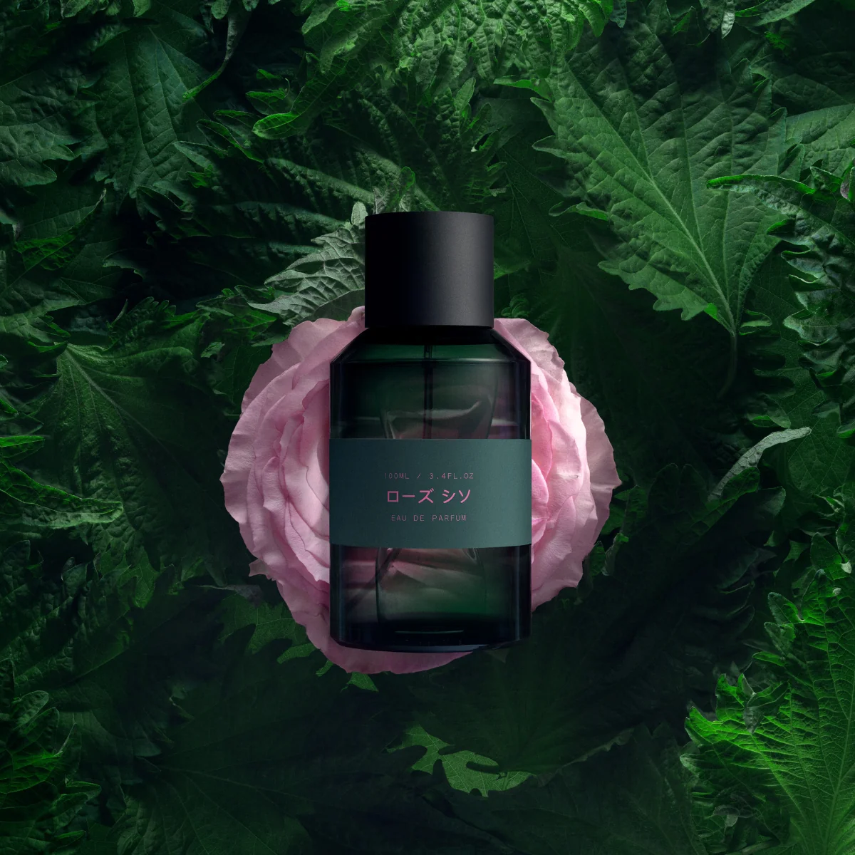 Marie Jeanne - Rose Shiso – Bild 3